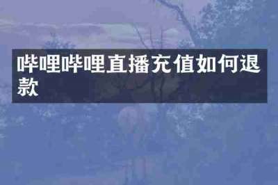 哔哩哔哩直播充值如何退款