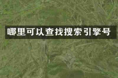 哪里可以查找搜索引擎号