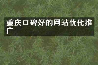 重庆口碑好的网站优化推广