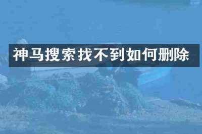 神马搜索找不到如何删除