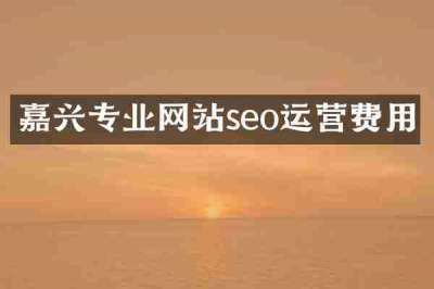 嘉兴专业网站seo运营费用