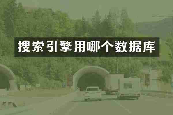 搜索引擎用哪个数据库