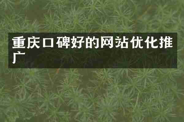 重庆口碑好的网站优化推广