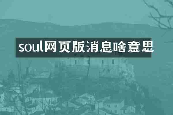 soul网页版消息啥意思