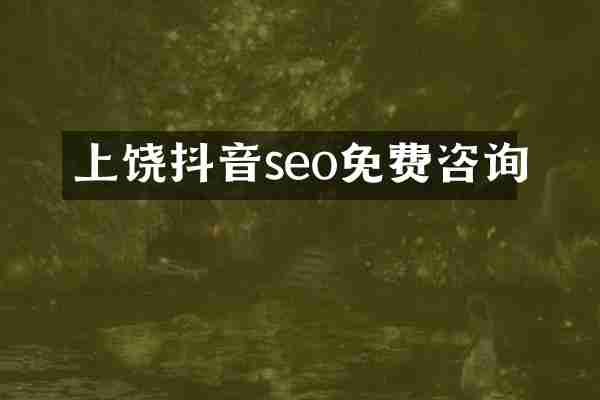 上饶抖音seo免费咨询