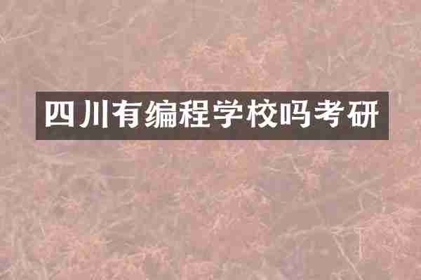 四川有编程学校吗考研