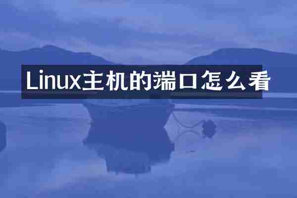 Linux主机的端口怎么看