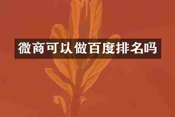 可以做百度排名吗