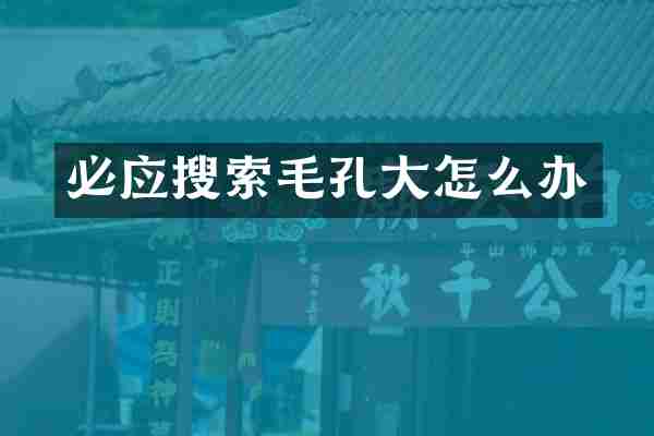 必应搜索毛孔大怎么办