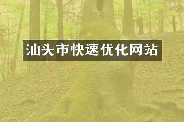 汕头市快速优化网站
