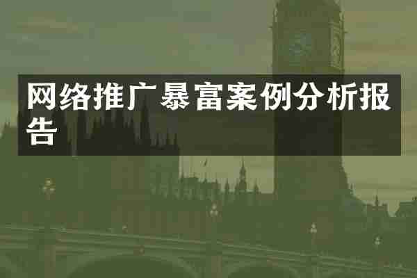 网络推广暴富案例分析报告