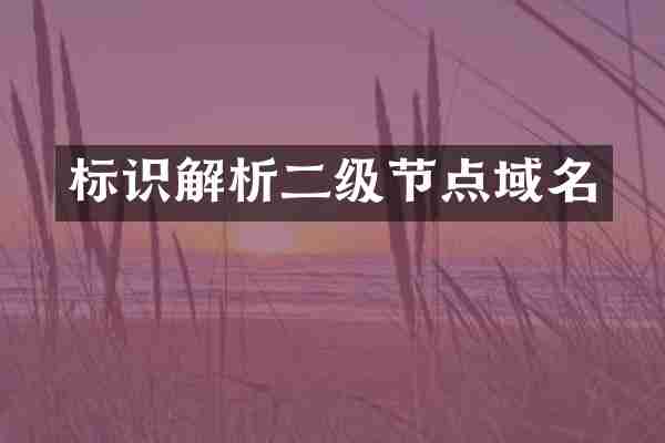 标识解析二级节点域名