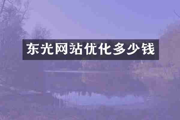 东光网站优化多少钱