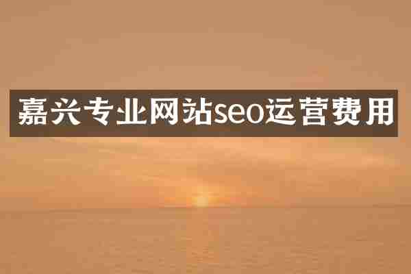 嘉兴专业网站seo运营费用