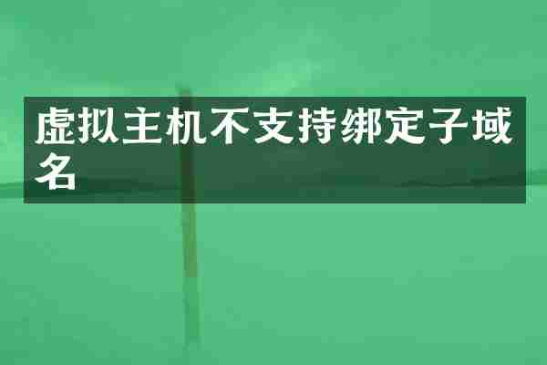 虚拟主机不支持绑定子域名