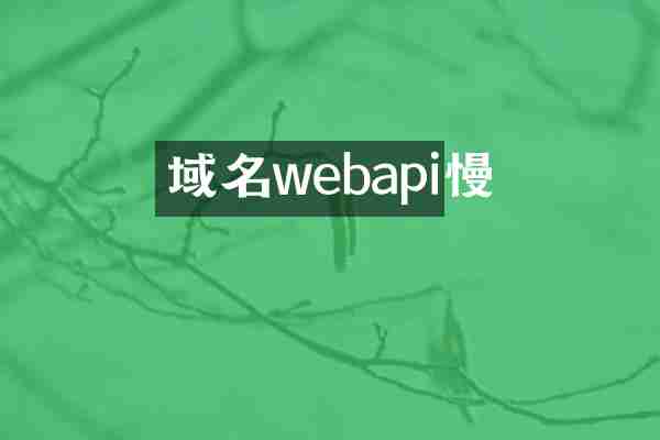 域名webapi慢