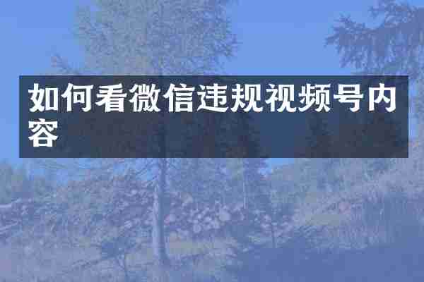 如何看微信违规视频号内容