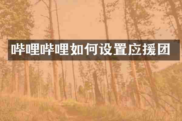 哔哩哔哩如何设置应援团