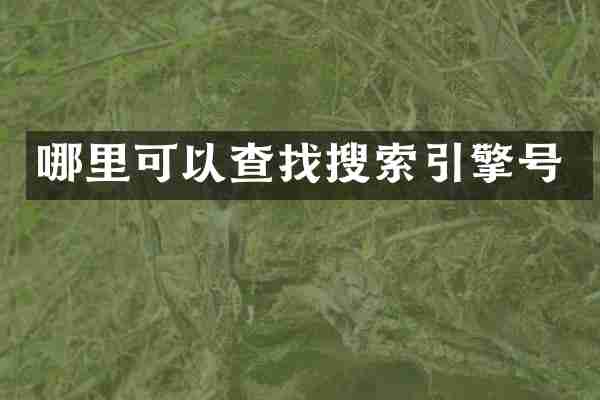 哪里可以查找搜索引擎号