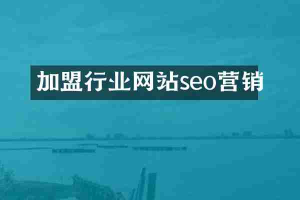 加盟行业网站seo营销