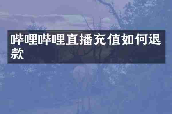 哔哩哔哩直播充值如何退款