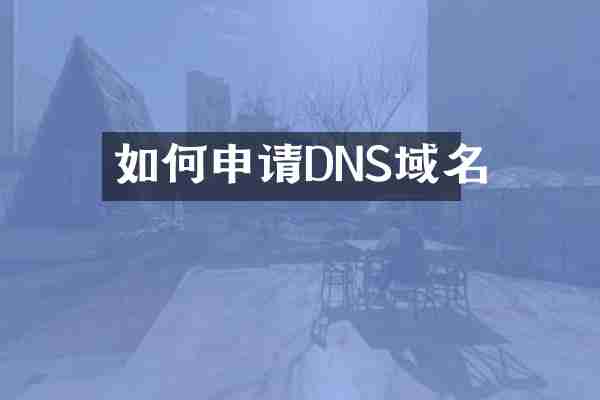 如何申请DNS域名
