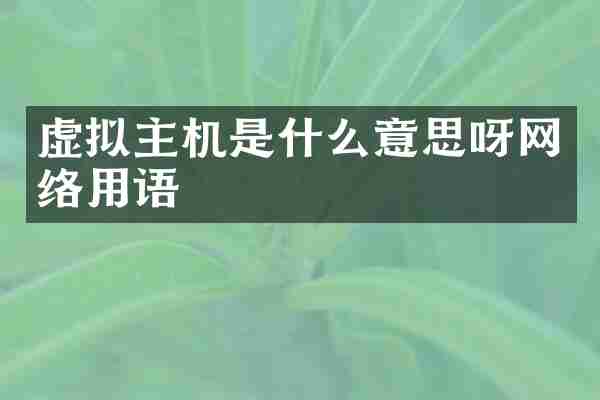 虚拟主机是什么意思呀网络用语