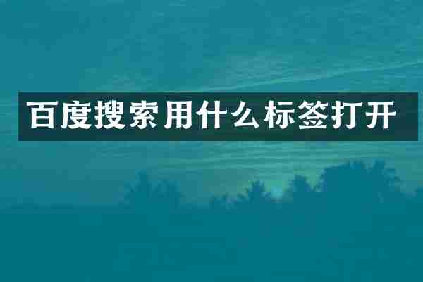 百度搜索用什么标签打开