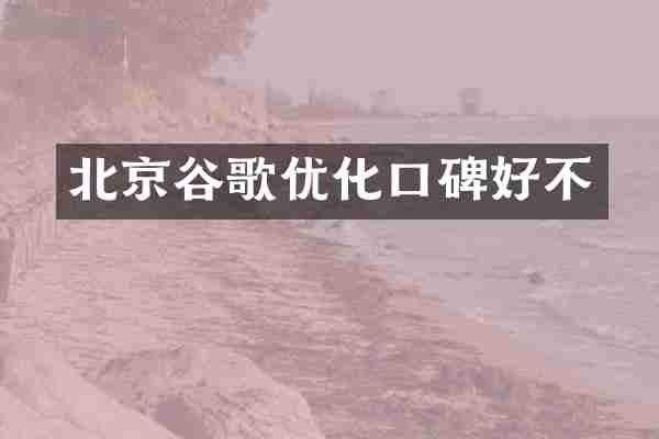 北京谷歌优化口碑好不