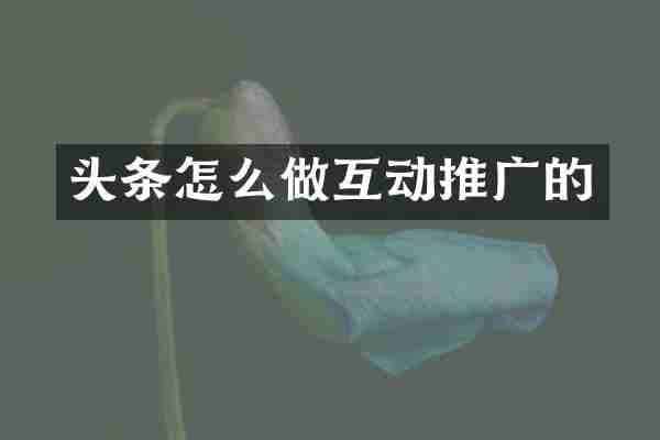 头条怎么做互动推广的