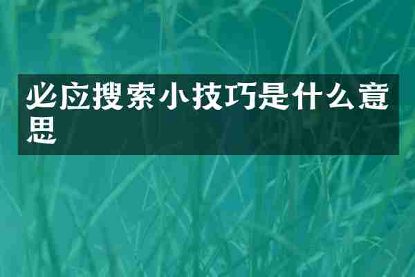 必应搜索小技巧是什么意思