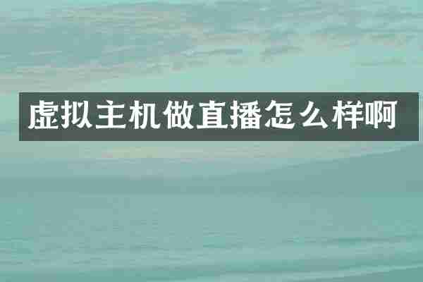 虚拟主机做直播怎么样啊