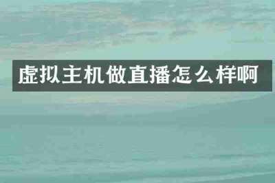 虚拟主机做直播怎么样啊