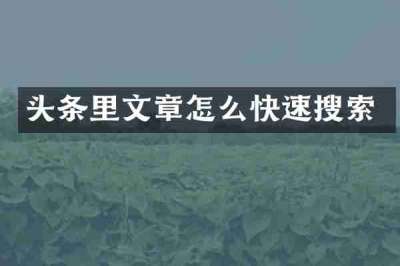 头条里文章怎么快速搜索