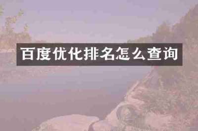 百度优化排名怎么查询