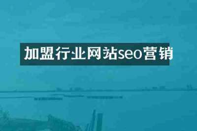 加盟行业网站seo营销