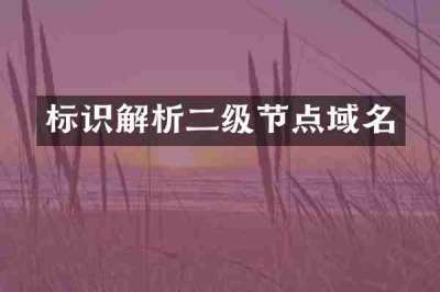 标识解析二级节点域名