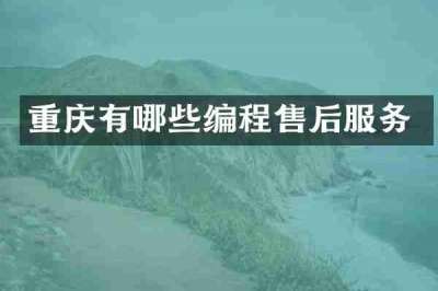 重庆有哪些编程售后服务