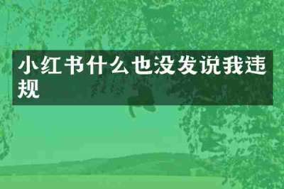小红书什么也没发说我违规