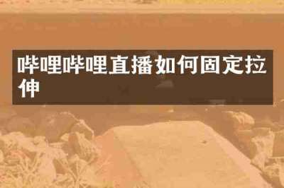 哔哩哔哩直播如何固定拉伸