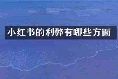 小红书的利弊有哪些方面