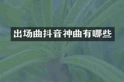 出场曲抖音神曲有哪些