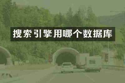搜索引擎用哪个数据库