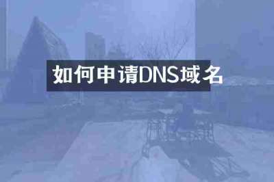 如何申请DNS域名