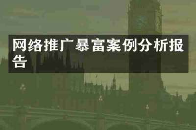 网络推广暴富案例分析报告