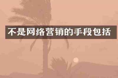 不是网络营销的手段包括
