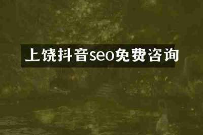 上饶抖音seo免费咨询