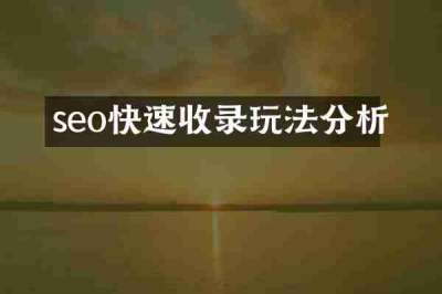 seo快速收录玩法分析