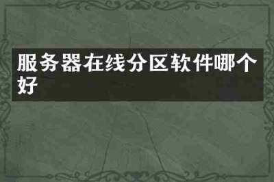 服务器在线分区软件哪个好
