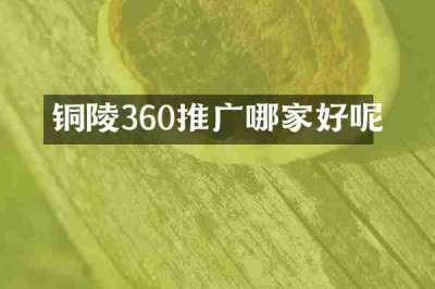 铜陵360推广哪家好呢
